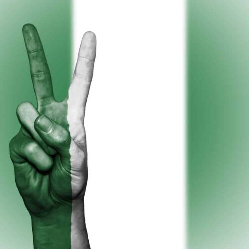 nigerian constitution